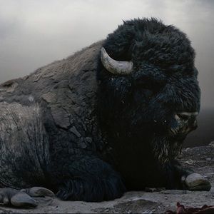 Meet your Posher, Cameron